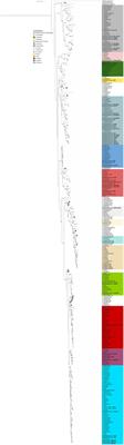 Genomic diversity and metabolic potential of marine Pseudomonadaceae